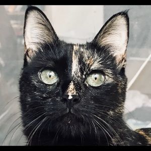 Meet your Posher, Jose